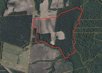 56 Acres Farmland & Timber with Hunting in NC